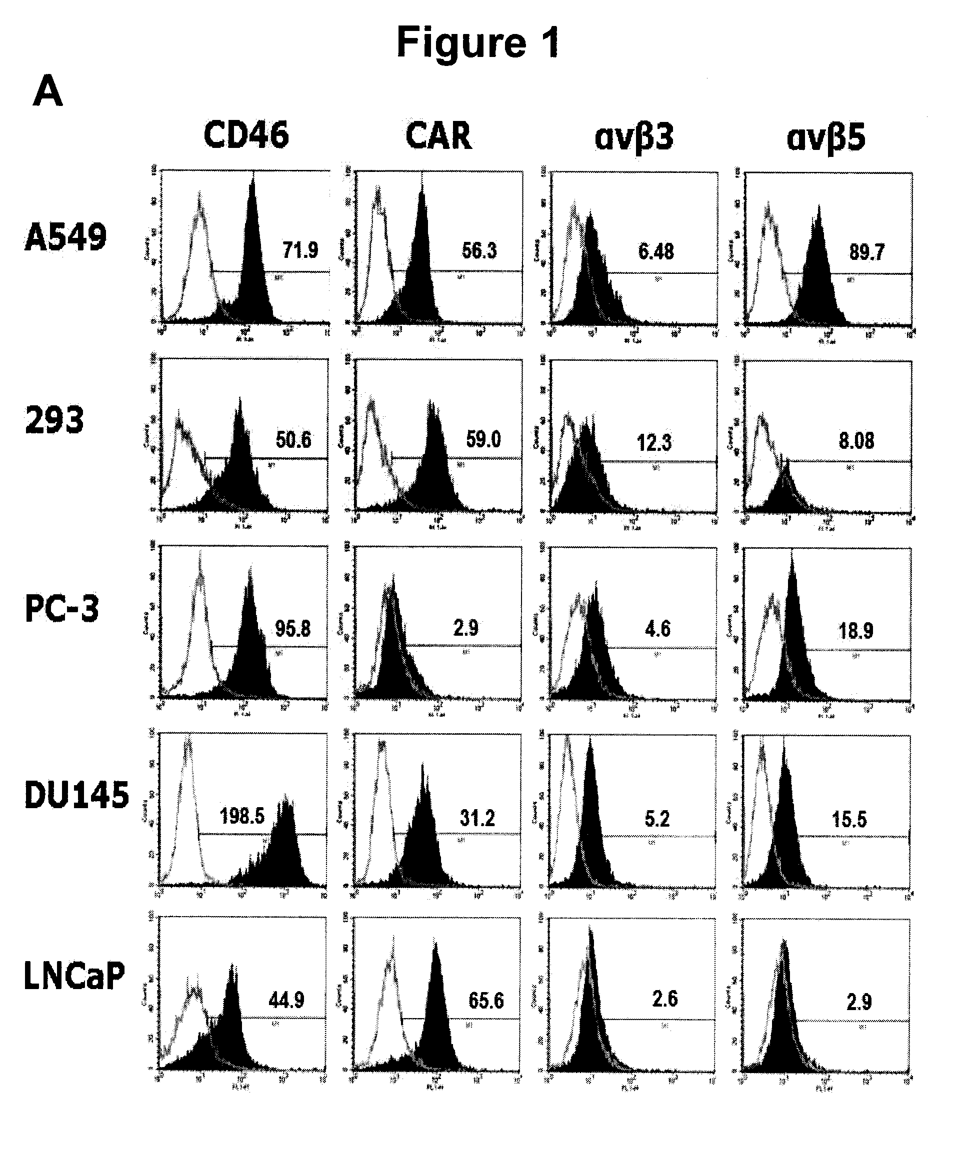 Replicating viral vectors for gene therapy