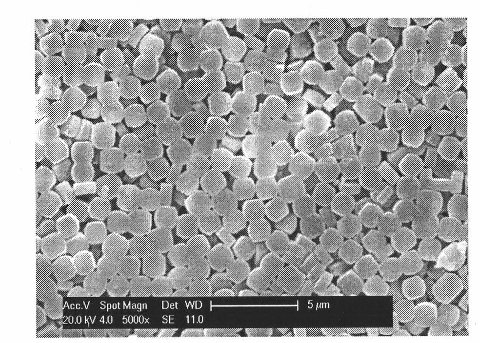 Method for preparing oriented molecular sieve membrane by using diauxic growth method