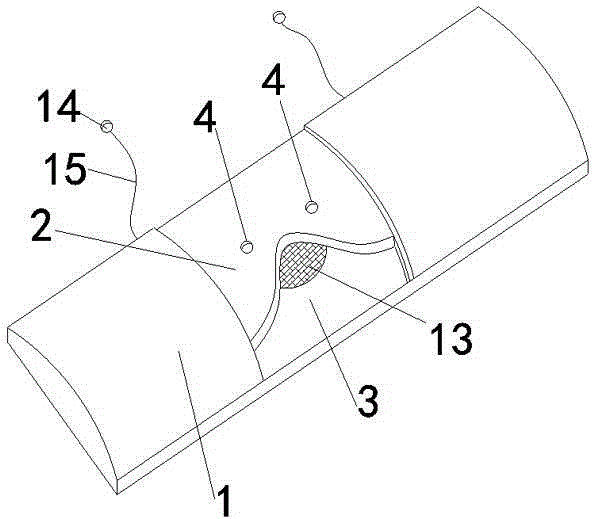 Insomnia treatment device having function of drug treatment