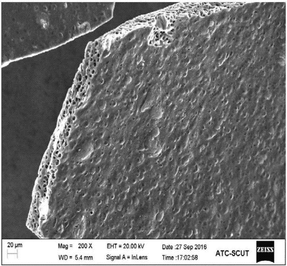 Lithium ion battery silicon doped carbon porous composite film and preparation method thereof