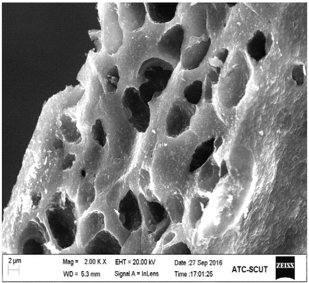 Lithium ion battery silicon doped carbon porous composite film and preparation method thereof