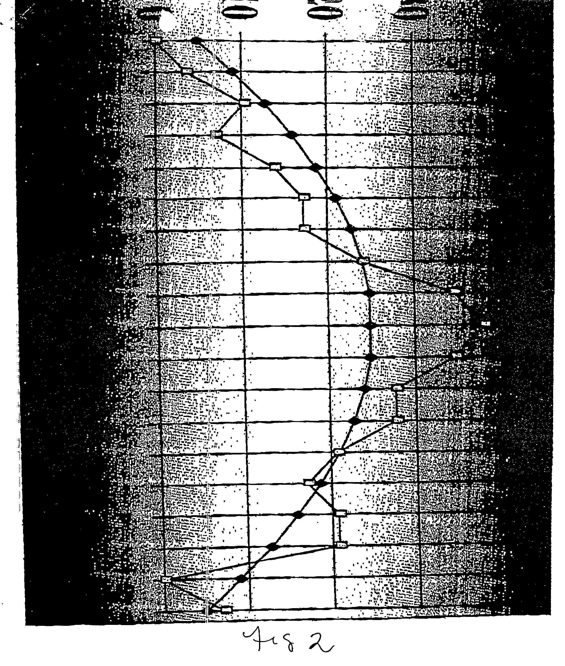 Method for determining nucleotide sequences using arbitrary primers and low stringency