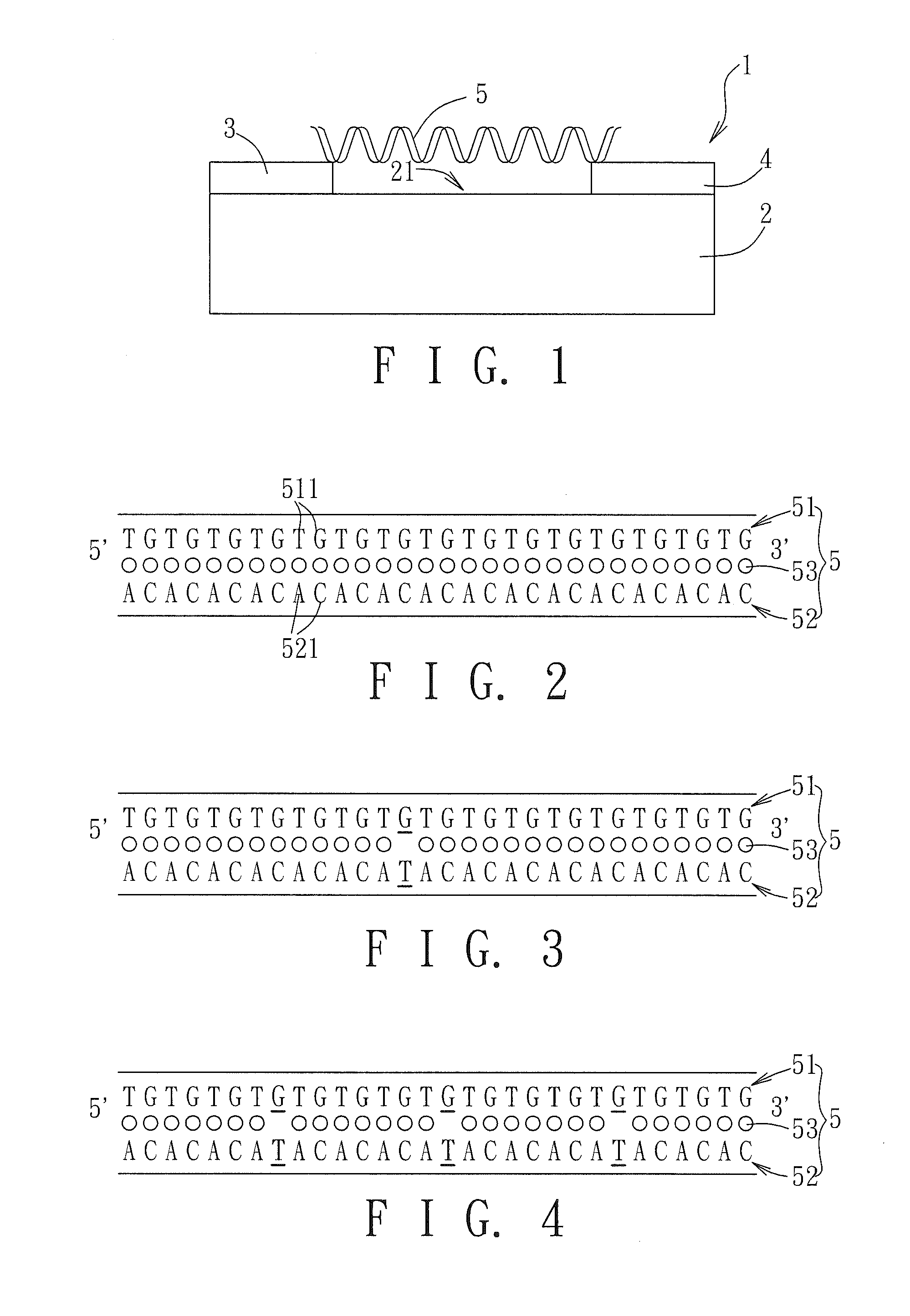 Bio-nanowire device and method of fabricating the same