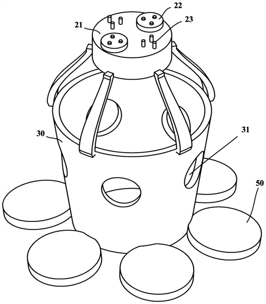 A large seaweed multiplication device and method for sea cucumber resource conservation