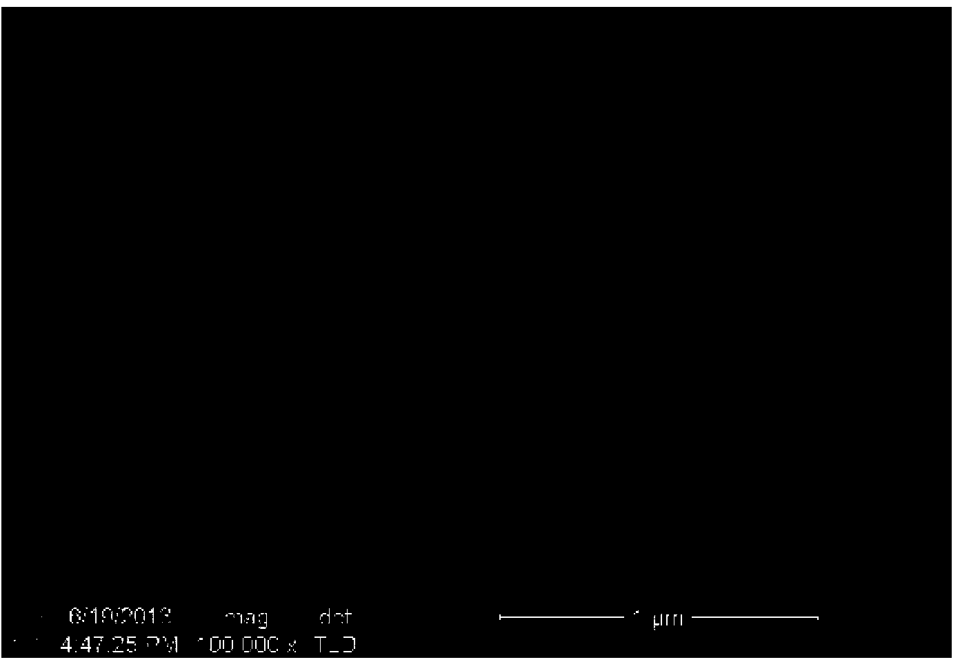 Ampelopsin nano-micelle and application thereof