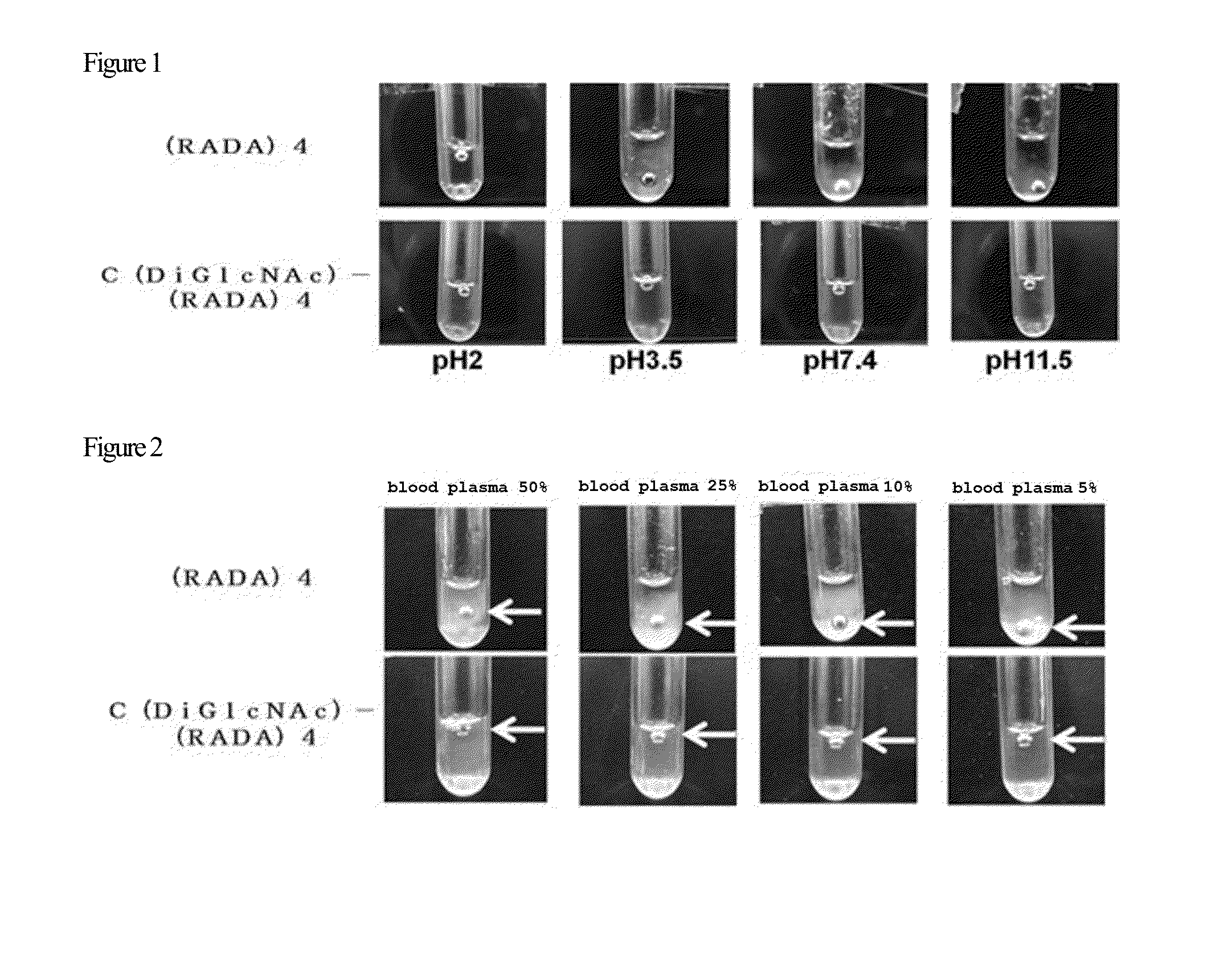 Sugar chain-polypeptide complex