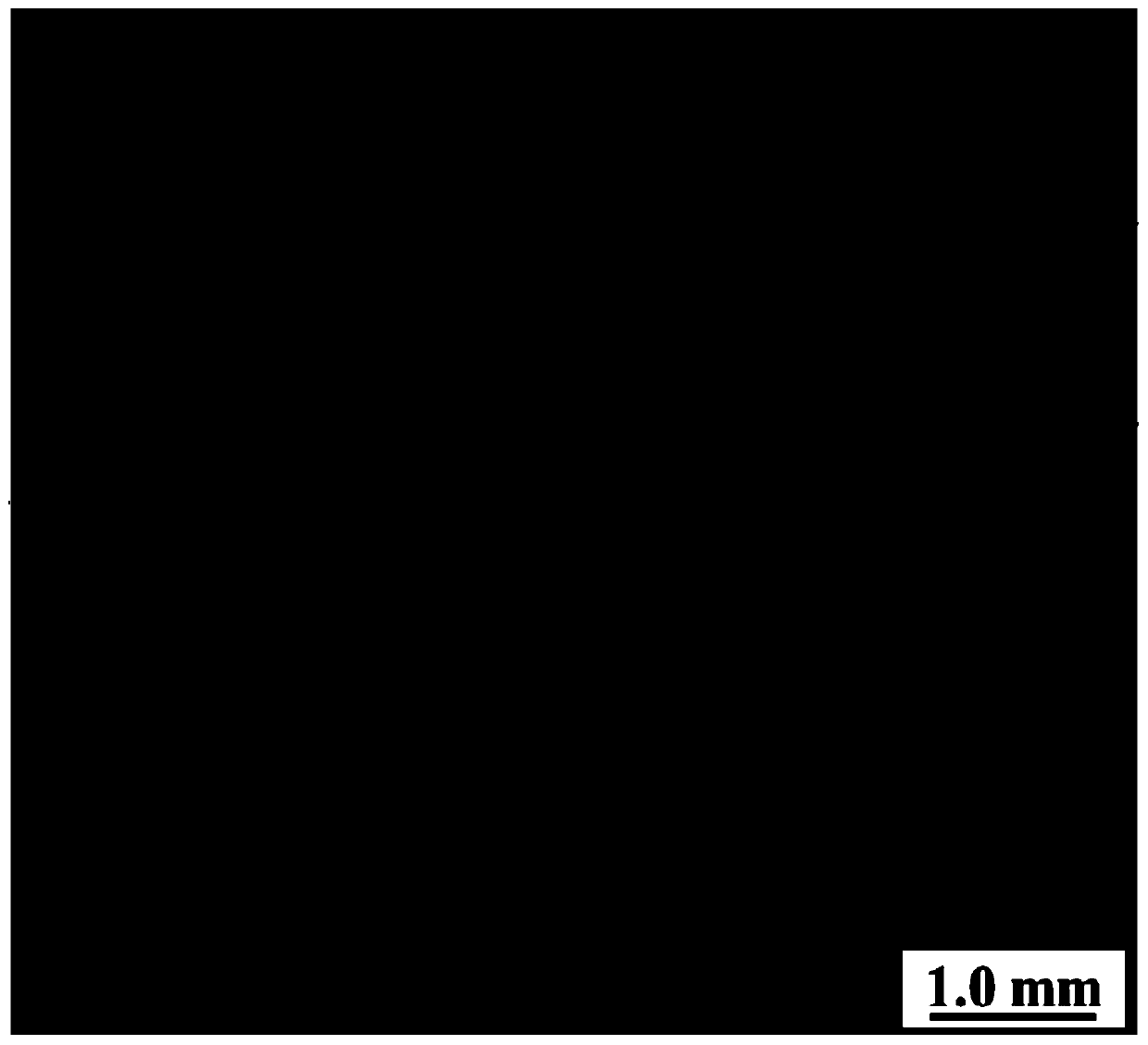 Boron-containing stainless steel thick plate with excellent plasticity and toughness and preparation method thereof