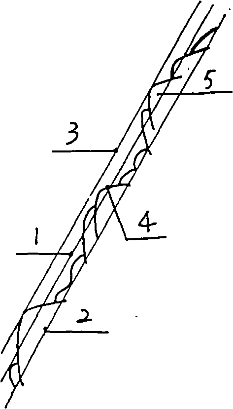 Ecological restoration method of bare rock engineering wound-surface vegetation