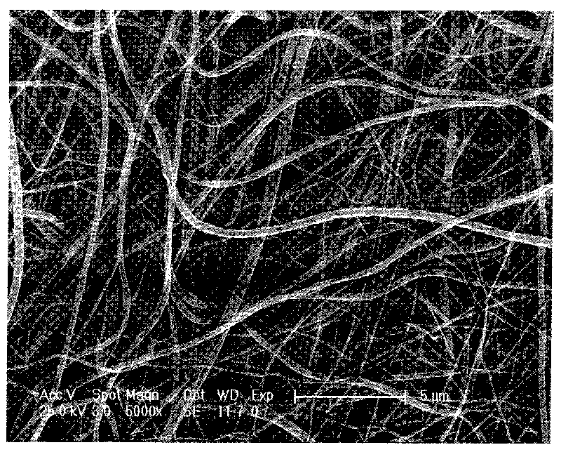 Method for preparing tin dioxide and titanium dioxide nano cable