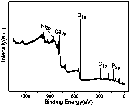 Cobalt-nickel bimetal phosphate flower-like microsphere electrocatalyst and preparation method thereof