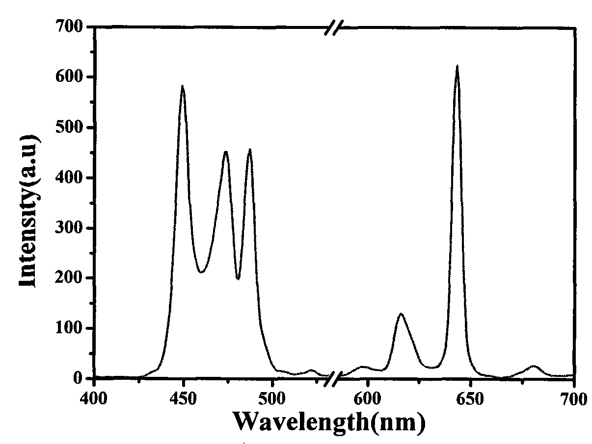 Red phosphor excitated by blue light and preparation thereof