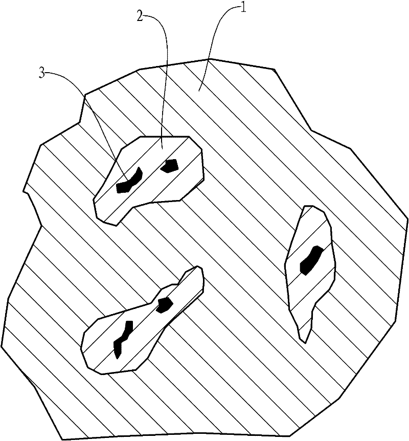 Environmentally-friendly developer and manufacturing method thereof