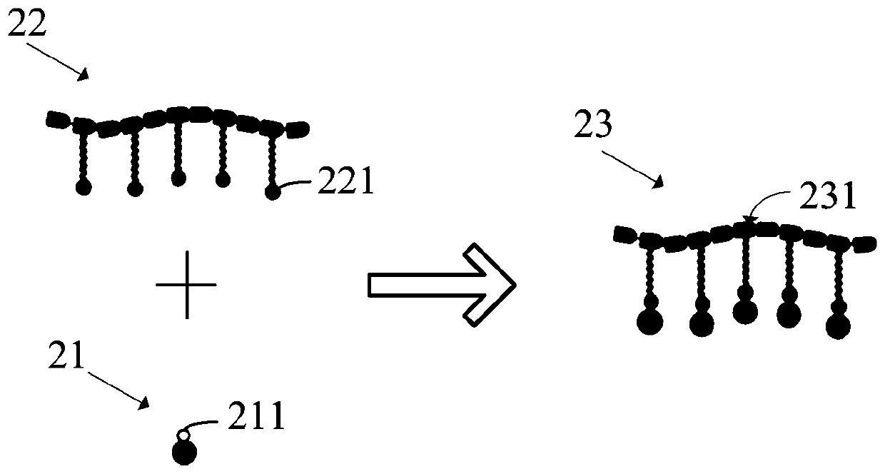 Coordination method of quantum dots, quantum dots and display device