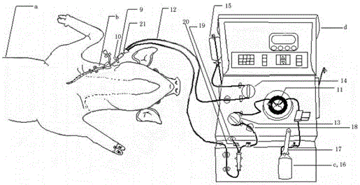 Quality control system for guaranteeing biological safety of animal plasma, serum or blood