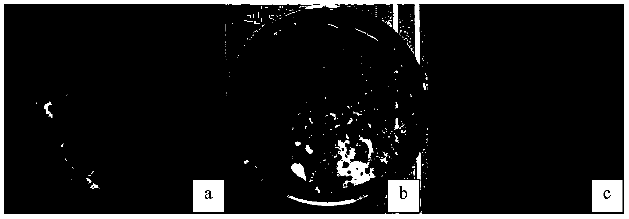 Rapid starting method of anaerobic ammonia oxidation reactor for enhancing sludge hydrolysis