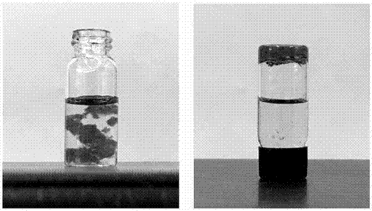 Chitosan anti-tumor hydrogel and application