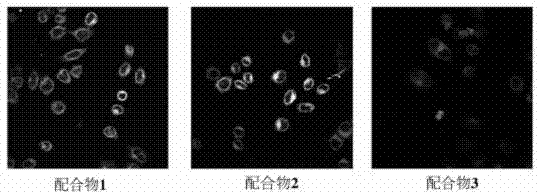 Boracic heteronuclear iridium complex and preparation method and application thereof