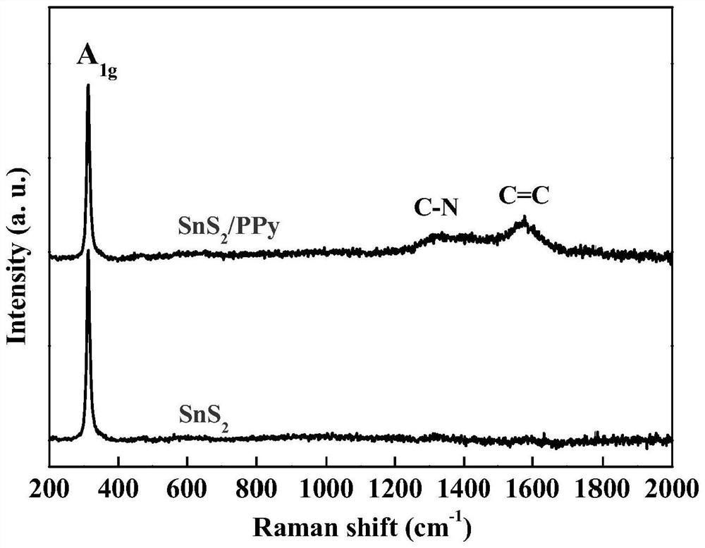 Tin sulfide/polypyrrole composite material and preparation method and application thereof