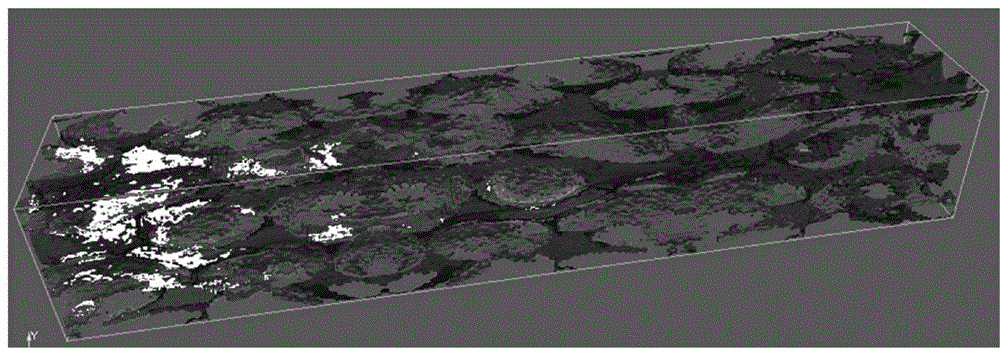 Method for simulating and evaluating oil production scheme by adopting digital rock core