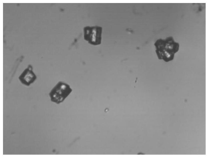 Alpha-type high-strength gypsum