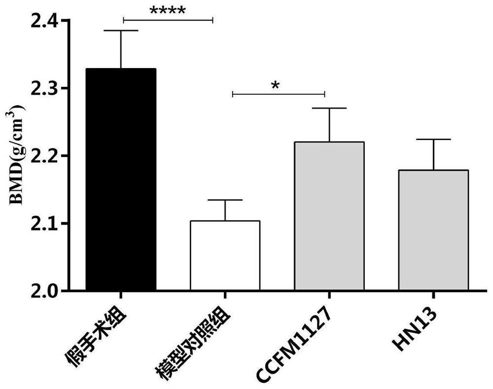 A strain of Lactobacillus casei that can alleviate osteoporosis and its application