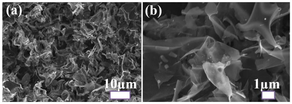 Porous carbon material loaded with transition metal oxide as well as preparation method and application of porous carbon material