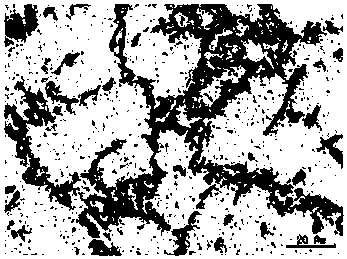 Composite rare earth RE cast aluminum alloy material and preparation method thereof