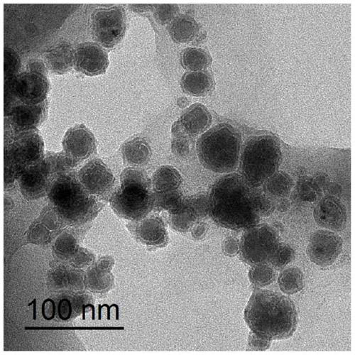 Preparation method of collagen fiber immobilized tannin loaded nanometer zero-valent Fe-Ni bimetallic ball adsorption reduction material