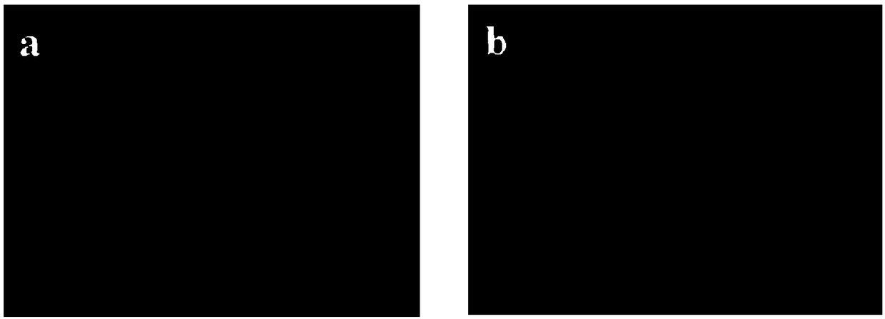 Aerogel with doped cuprous ions as well as preparation method and application thereof