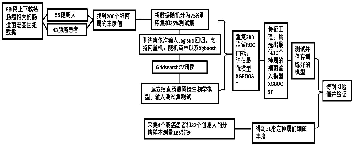 Microbial marker of colorectal cancer and application of marker