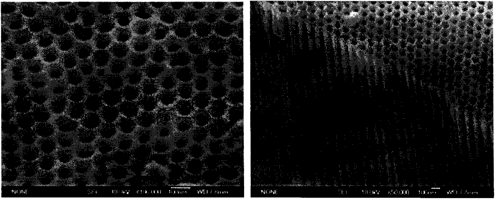 Novel solar cell double-trapping-light structure with AAO nanometer gratings