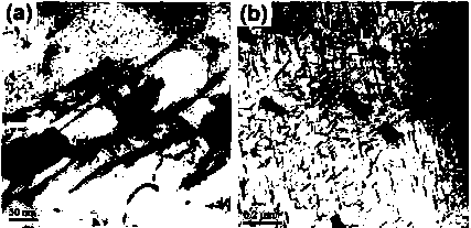 Creep aging forming method for Al-Cu-Mg alloy plate