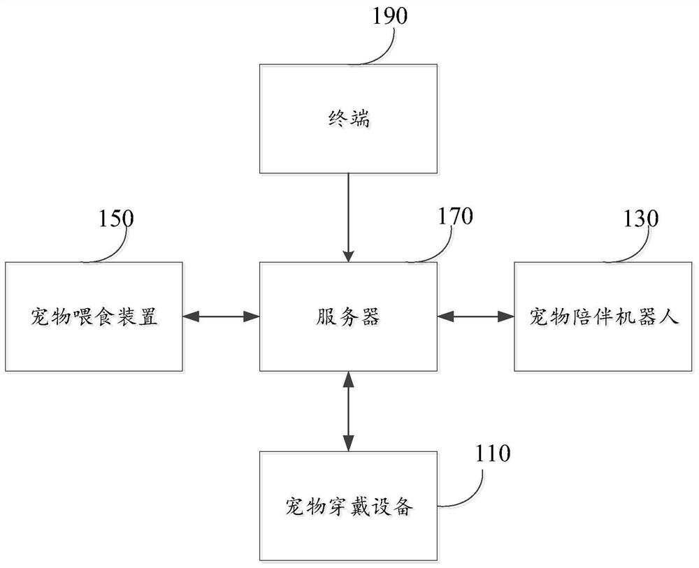 Pet accompanying method and device and computer equipment