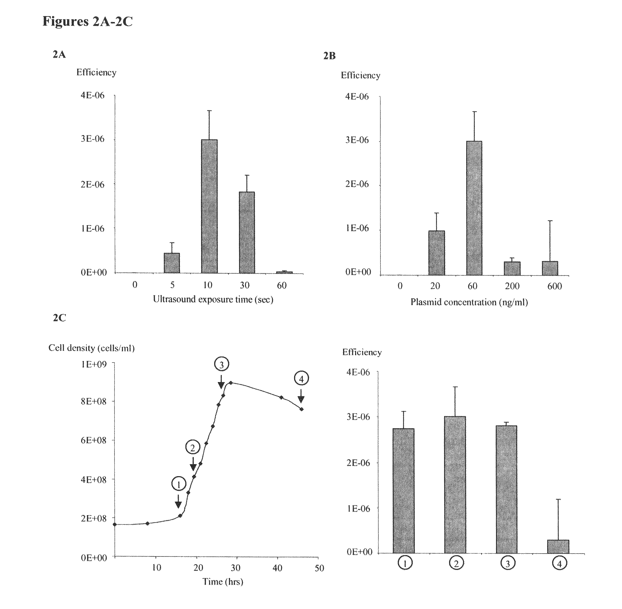 Transformation of gram positive bacteria by sonoporation