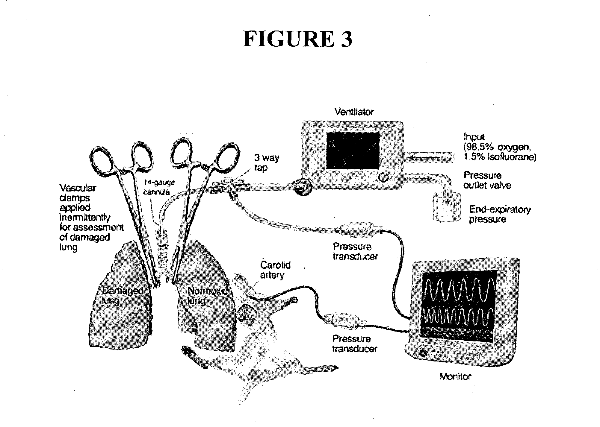 Method of treatment and agents useful for same