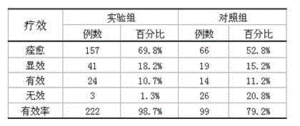 External application traditional Chinese medicine agent for treating amygdalitis