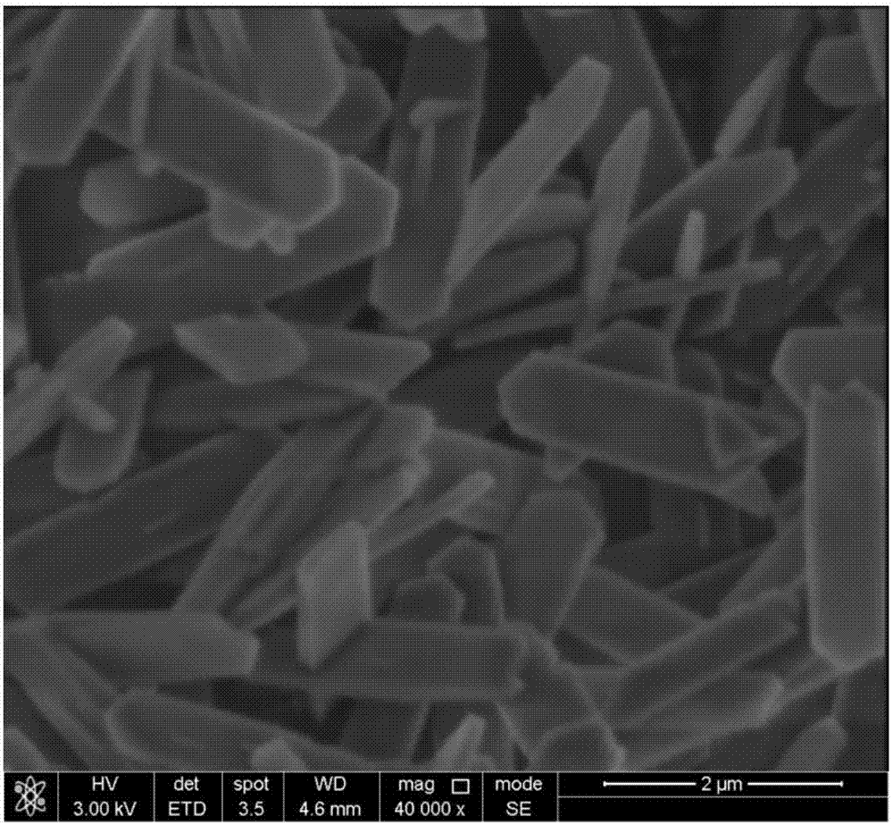 Catalyst for conversion of organic oxy-compound into olefin molecular sieve and its preparation method and method for preparing olefin from organic oxy-compound