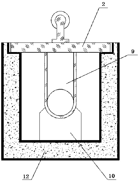 Insect infrared behavior tester and testing method