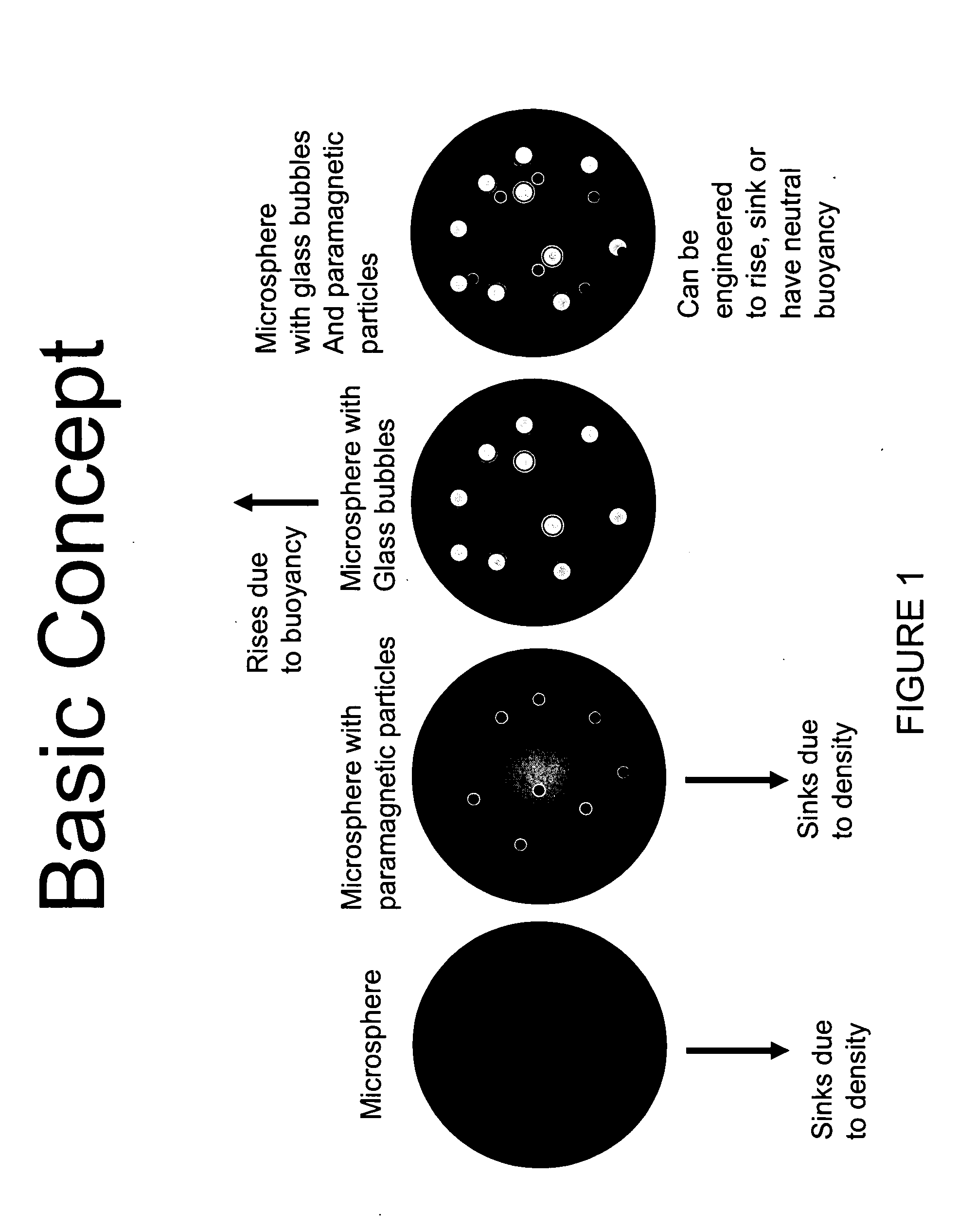 Automated cell culture system and process