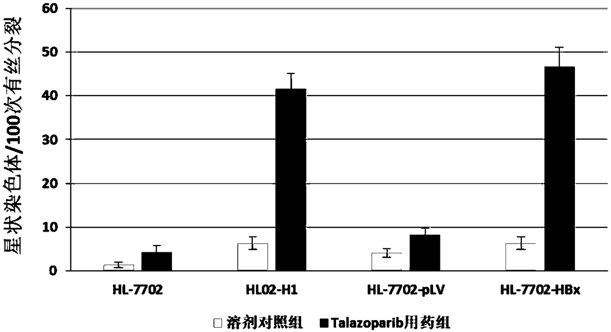 Use of Talazoparib in preparation of drugs for treating or preventing diseases related with hepatitis virus