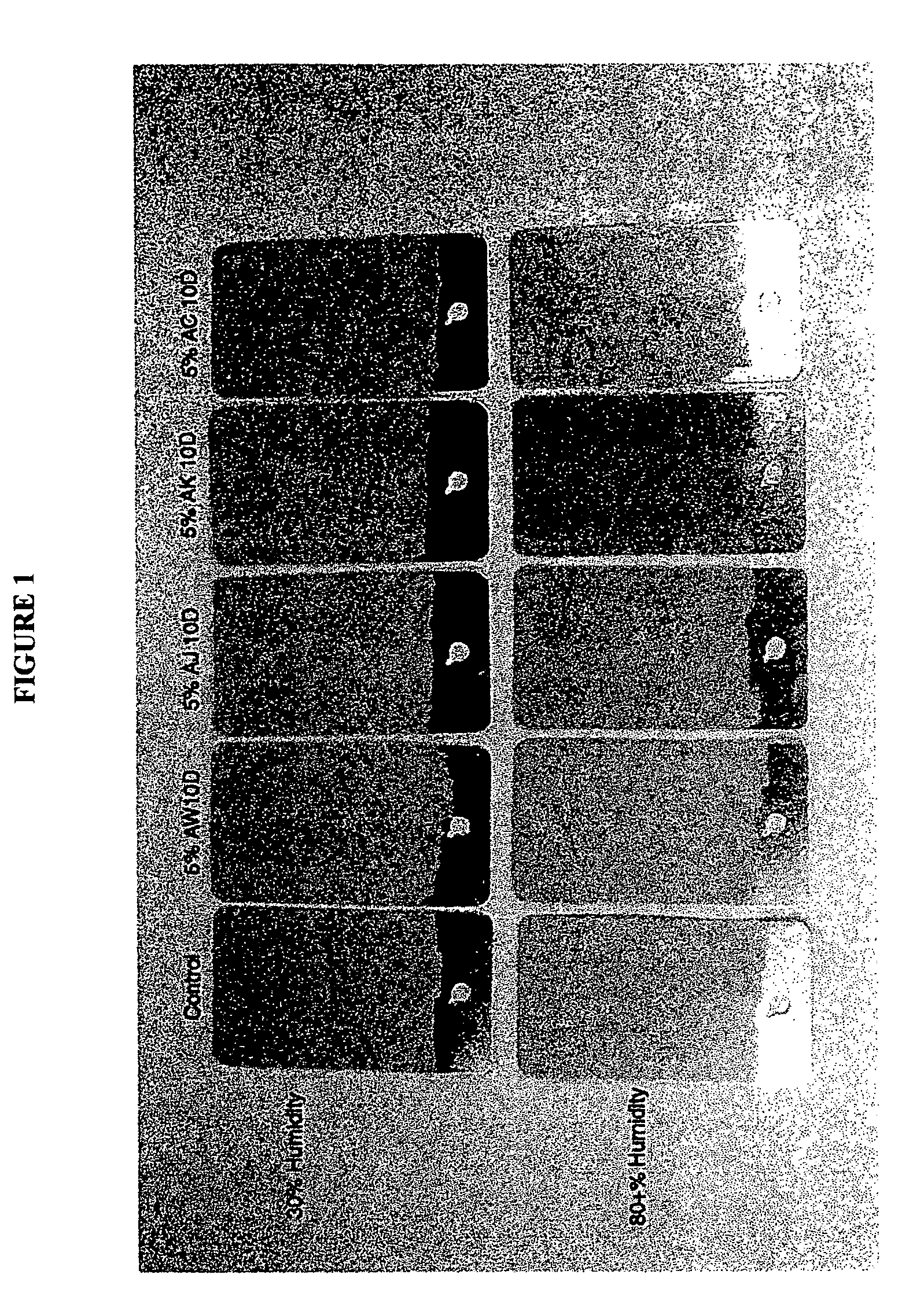 Color stable antimicrobial coatings