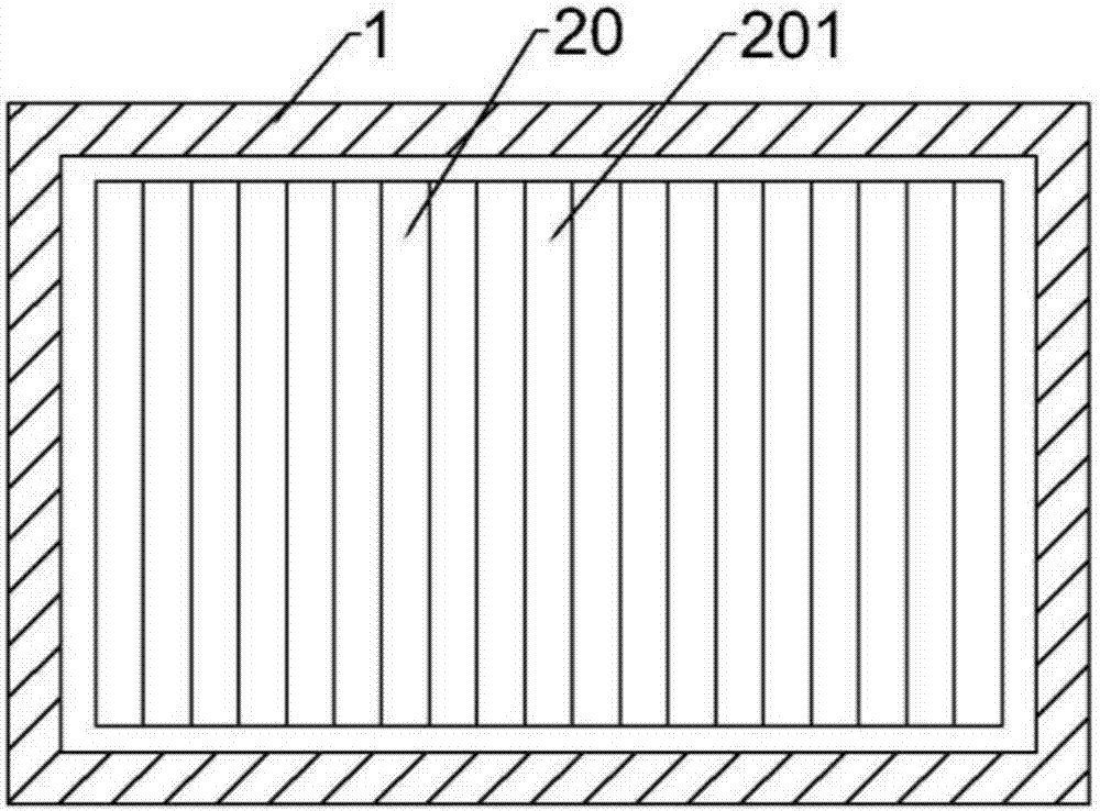 Shelling and cold-pressing integrated device used for production of camellia oil