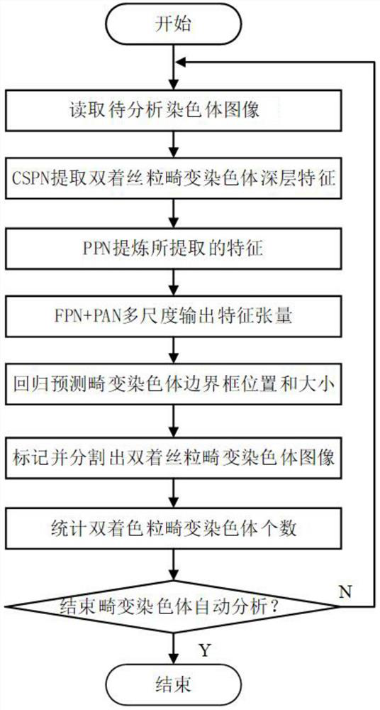 Double centromere distorted chromosome analysis and prediction method based on multi-scale fusion method