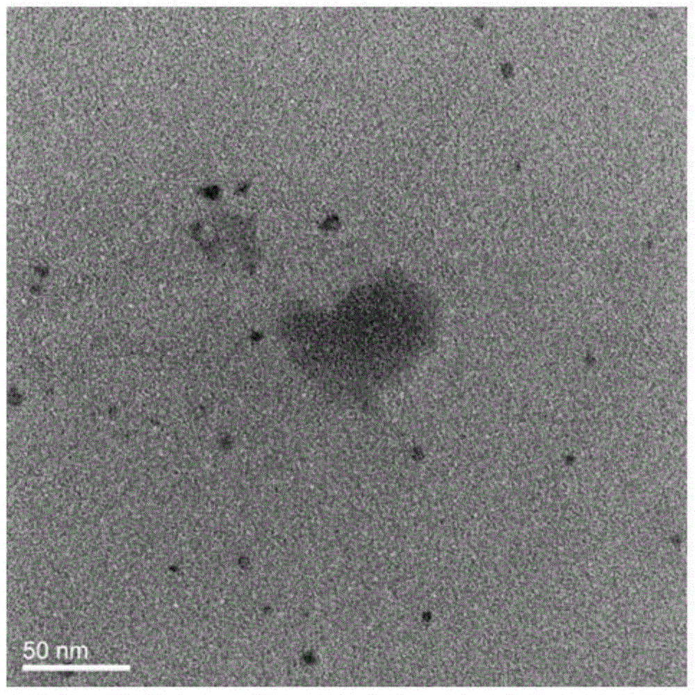 Copper-based human albumin nano-composite with near infrared thermal effect as well as preparation method and application of copper-based human albumin nano-composite