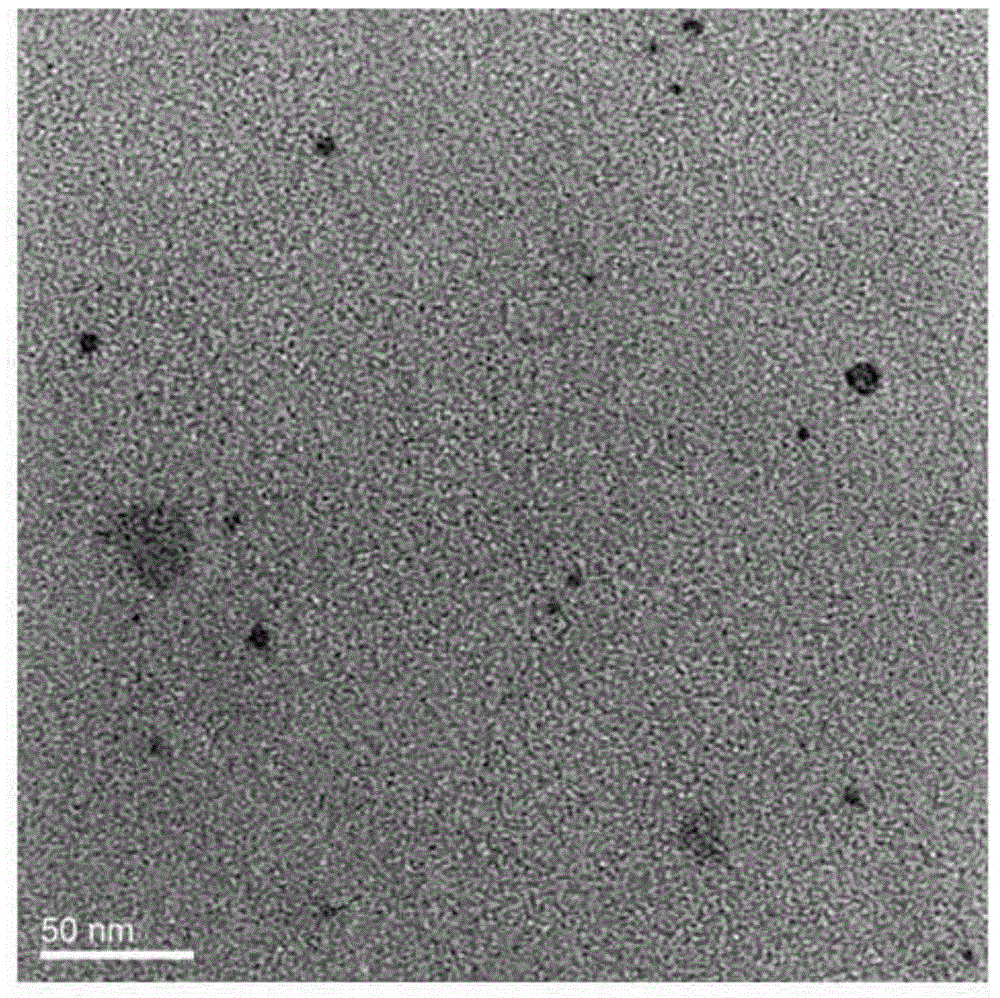 Copper-based human albumin nano-composite with near infrared thermal effect as well as preparation method and application of copper-based human albumin nano-composite