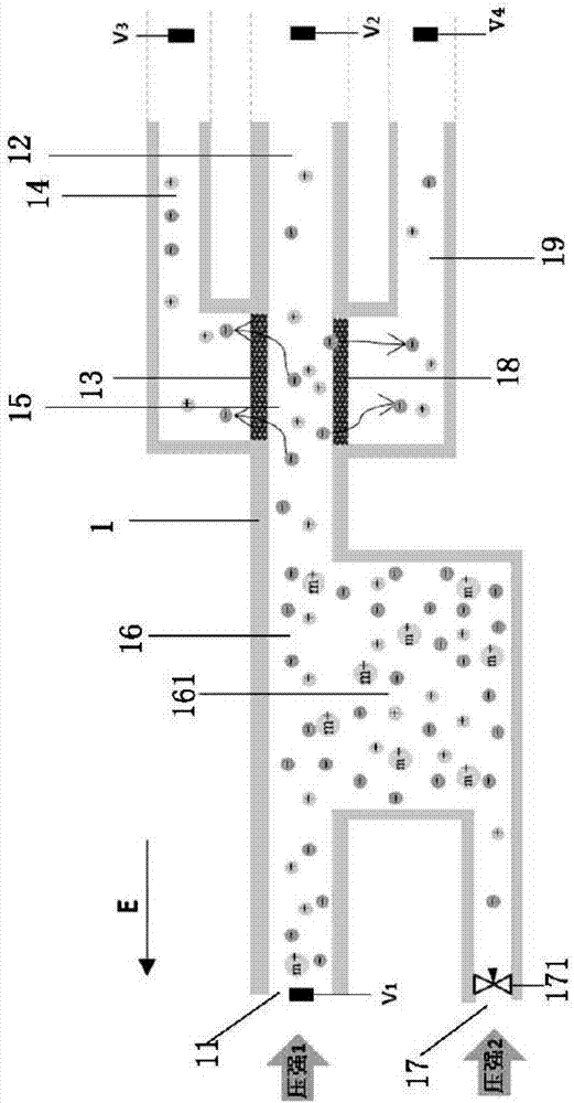 A device for enriching trace polyvalent cations