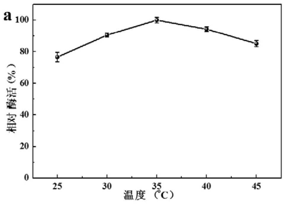 A carbonyl reductase mutant mut-accr(g152l/y189n) and its application and coding gene