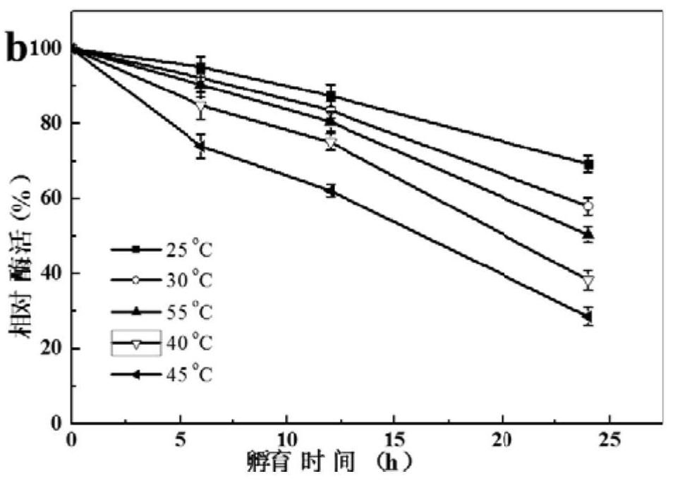 A carbonyl reductase mutant mut-accr(g152l/y189n) and its application and coding gene