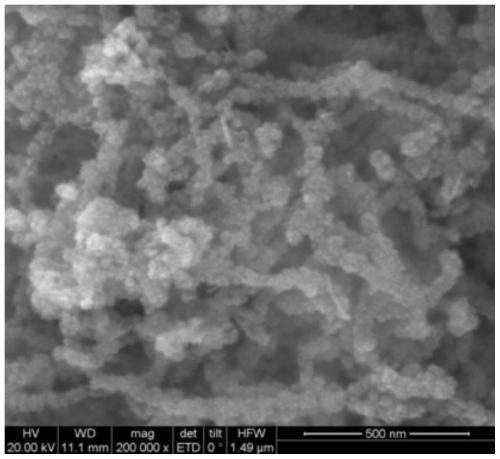 Preparation method for magnetic carbon nanotube demulsifier and application of magnetic carbon nanotube demulsifier