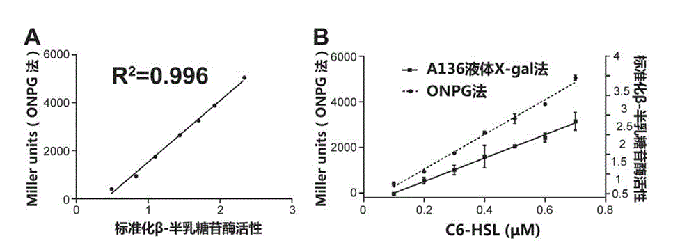 Method for detecting quorum sensing quenching bacterial strain